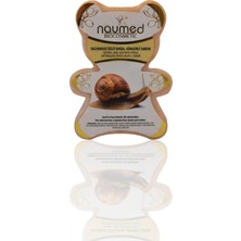 Naumed Salyangoz Özlü Doğal Ayıcıklı Süngerli Sabun