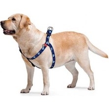 Waudog Collar Qr Pasaportlu Köpek Göğüs Tasması Superman1 Desenli, W 10 Mm, L 28-40 cm