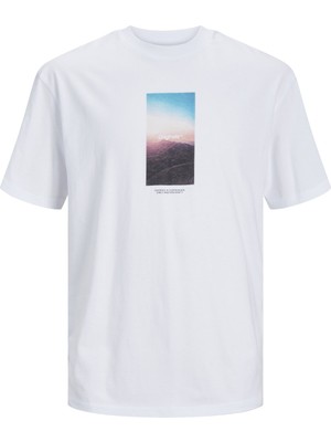 Jack & Jones Beyaz Erkek T-Shirt 12257513