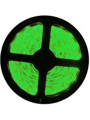 Cata CT-4483 10W 10 Çip Yeşil İç Mekan Şerit LED