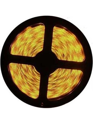 Cata CT-4481 10W 10 Çip Günışığı İç Mekan Şerit LED