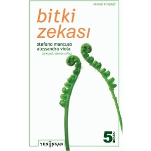 Bitki Zekası