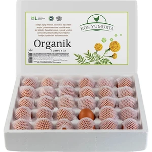 90'lu L Boy Organik Yumurta