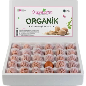 60'lu M Boy Organik Yumurta