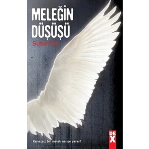 Meleğin Düşüşü - Susan Ee
