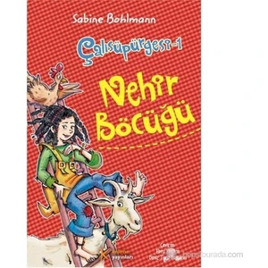 Çalısüpürgesi-1: Nehir Böcüğü-Sabine Bohlmann