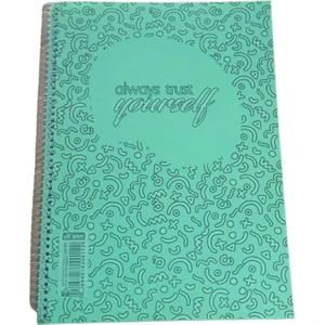 120 Yaprak Spiralli Plastik Kapaklı Çizgili A4 Defter