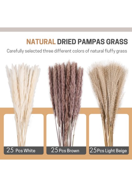 75 Adet Doğal Kurutulmuş Pampas Çim Kabarık Kaynaklanıyor Kuru Görkemli Buketler Çiçek Düzenlemeleri Için Boho Düğün Ev Dekor (Yurt Dışından)