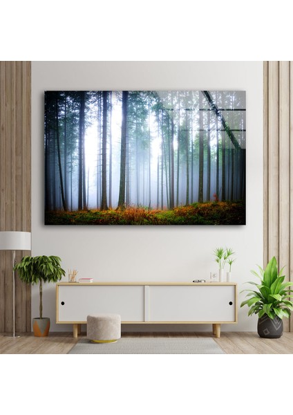 Sisli Orman Temperli Cam Duvar Tablosu modelleri