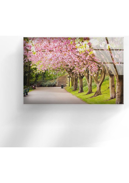 Ilkbahar Manzara Cam Duvar Tablosu