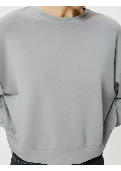 Basic Sweatshirt Bisiklet Yaka Modal Karışımlı