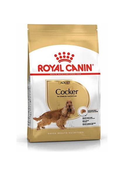 Cocker Adult Yetişkin Köpek Maması 3 kg
