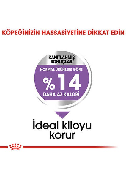 Mini Sterilised Kısırlaştırılmış Yetişkin K? modelleri