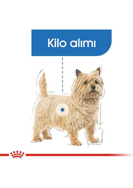 Mini Light Care Diyet Yetişkin Köpek Maması 3 kg