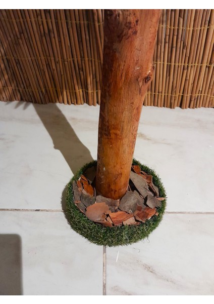 Yapay Tropikal Palmiye Ağacı 1.20 mt Boy Aslanpençesi Palmiye Gövde fiyatları