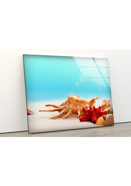 Tropik Deniz Yıldızı Cam Duvar Tablosu fiyatları