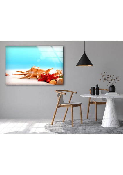 Tropik Deniz Yıldızı Cam Duvar Tablosu fırsatları