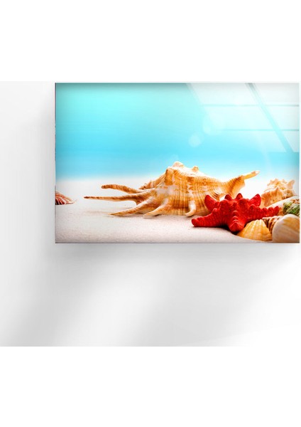 Tropik Deniz Yıldızı Cam Duvar Tablosu indirimleri
