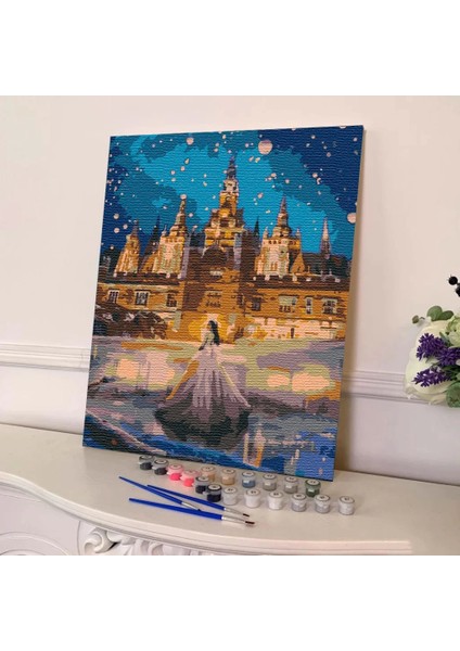 Sayılarla Boyama Seti 40 x 50 cm Tuval Şasesine Gerili Prensesin Rüyası