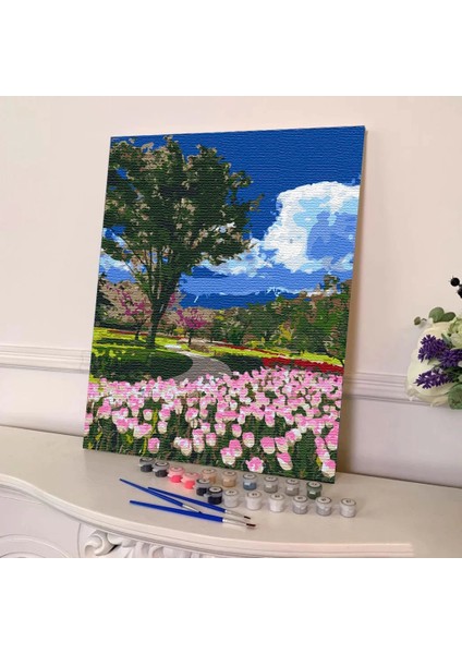 Sayılarla Boyama Seti 40 x 50 cm Tuval Şasesine Gerili Kır Bahçesi