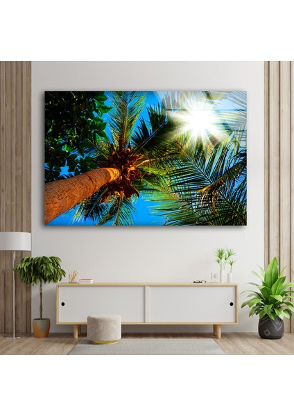 Tropikal Palmiye Ağacı Temperli Cam Duvar Tablosu