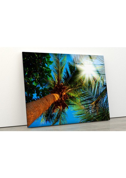 Tropikal Palmiye Ağacı Temperli Cam Duvar Tablosu fiyatları
