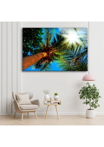 Tropikal Palmiye Ağacı Temperli Cam Duvar Tablosu fırsatları