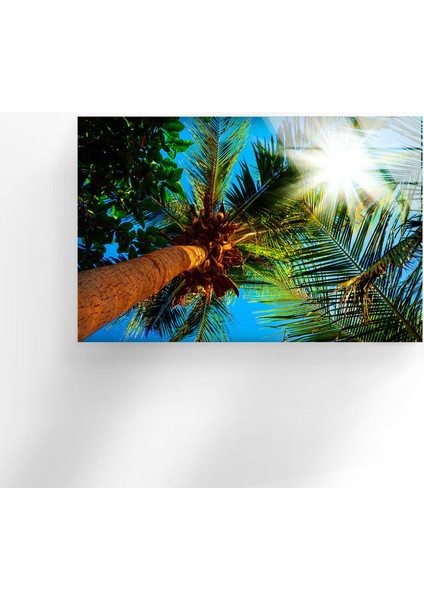Tropikal Palmiye Ağacı Temperli Cam Duvar Tablosu indirimleri