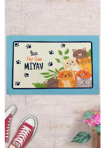 Kedi Mamapaspası