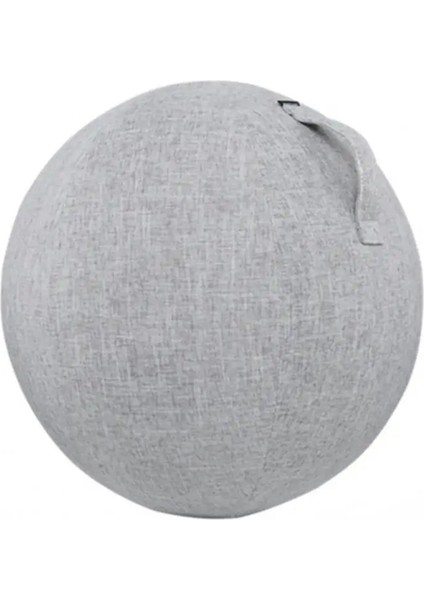 Grey White L Style Solması Zor Egzersiz Topu Örtüsü 5 Renk Aşınma Önleyici Çekici Esnek Neme Dayanıklı Egzersiz Topu Kılıfı (Yurt Dışından)