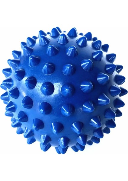 Fildişi Tarzı Masaj Topu Çok Fonksiyonlu Manyetik Akupresür Tedavisi El Ayak Palm Stimülasyon Eğitmeni Masaj Topu Fitness Aksesuarları (Yurt Dışından)