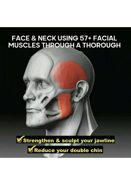 Mavi Stil Food-Grade Face Fitness Ball Facial Toner Exerciser Anti-Wrinkle Exercise Facial Toner Jaw Exerciser Neck Facial Muscle Trainer (Yurt Dışından) indirimleri