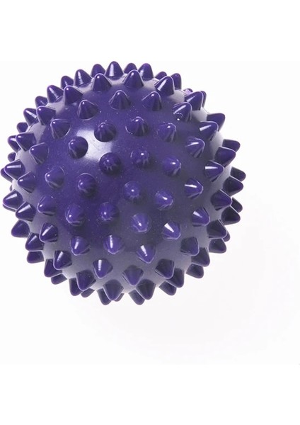 Mor Tarzı Fitness Pvc Sert Dikenli Masaj Topu Kabartma Plantar Fasiit El Ayak Eğitimi Kavrama Topu Taşınabilir Fizyoterapi Başak Topu 7cm (Yurt Dışından)