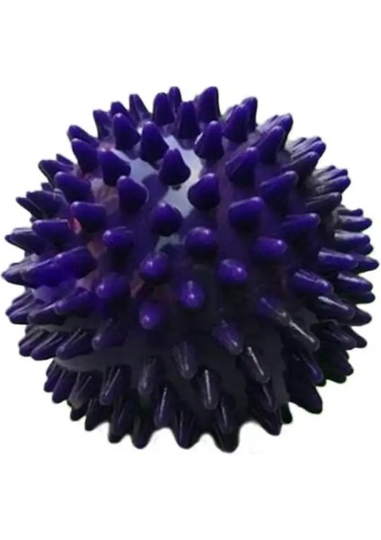 Mor Tarzı Yoga Stüdyosu Spikey Masaj Spor Salonu Topları Dikenli Yoga Stres Refleksoloji 9 cm Eğitim Topu Kavrama Taşınabilir Fizyoterapi Topu (Yurt Dışından)