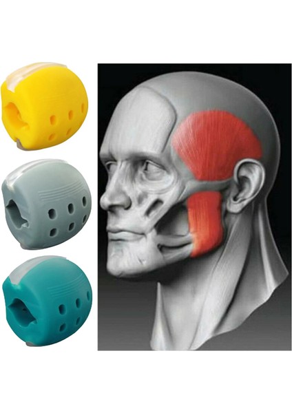 Yeşil Stil Gıda Dereceli Silikon Çene Egzersiz Cihazı Yüz Çiğneme Kas Eğitimi Fitness Topu (Yurt Dışından) modelleri