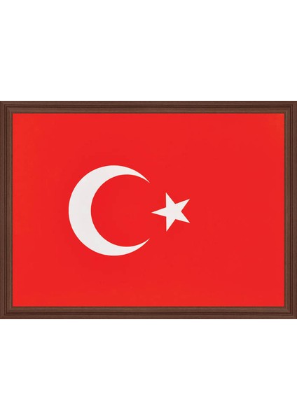 20 x 30 cm Türk Bayrağı Mdf li Portre Tablo 423