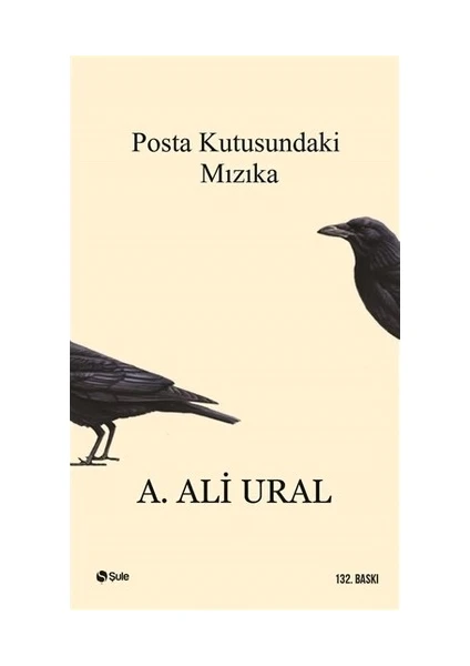 Posta Kutusundaki Mızıka - A. Ali Ural