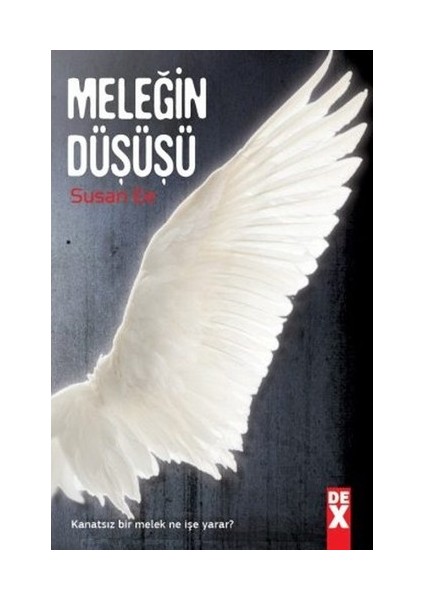 Meleğin Düşüşü - Susan Ee