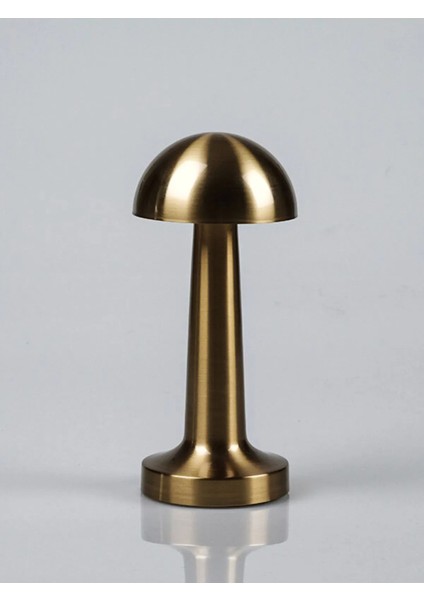 USB Şarjlı Dokunmatik Eskitme Gold Renk Masa Lambası FL-8055 (3 Renk)