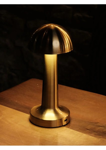 USB Şarjlı Dokunmatik Eskitme Gold Renk Masa Lambası FL-8055 (3 Renk)