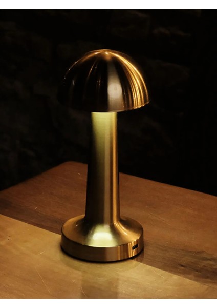 USB Şarjlı Dokunmatik Eskitme Gold Renk Masa Lambası FL-8055 (3 Renk)