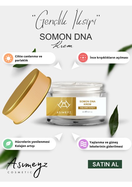 Somon Dna Krem - Leke & Yaşlanma Karşıtı, Onarım, Bakım Cilt Yüz Bakım Kremi 50ML fiyatları