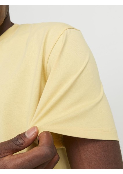 O Yaka Regular Fit Açık Sarı Erkek T-Shirt 12240121 modelleri