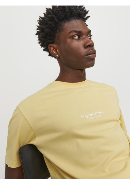 O Yaka Regular Fit Açık Sarı Erkek T-Shirt 12240121 indirimleri