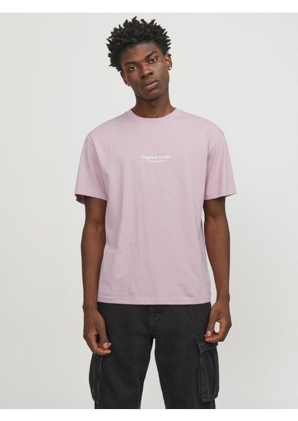 O Yaka Regular Fit Pembe Erkek T-Shirt 12240121 fiyatları