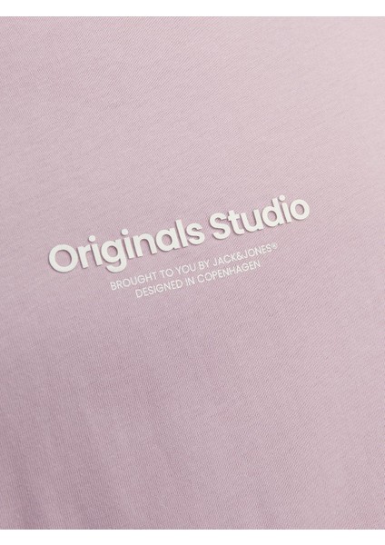 O Yaka Regular Fit Pembe Erkek T-Shirt 12240121 fırsatları