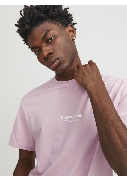 O Yaka Regular Fit Pembe Erkek T-Shirt 12240121 indirimleri