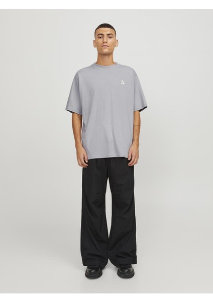 Regular Fit Gri Erkek T-Shirt 12253435