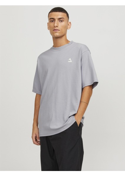 Regular Fit Gri Erkek T-Shirt 12253435 fiyatları