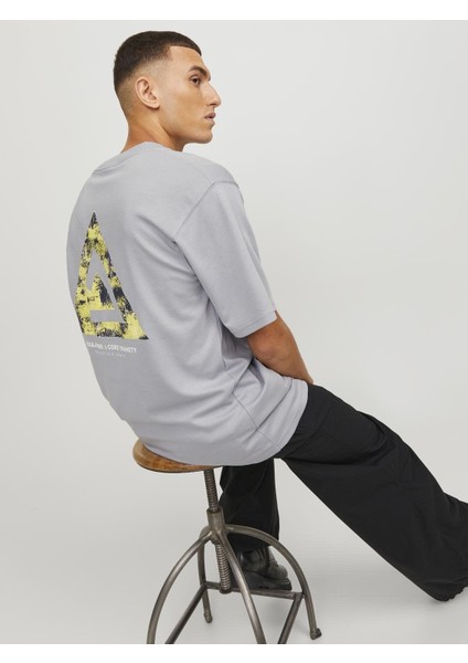 Regular Fit Gri Erkek T-Shirt 12253435 indirimleri